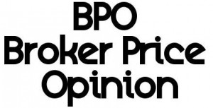 What is a BPO?